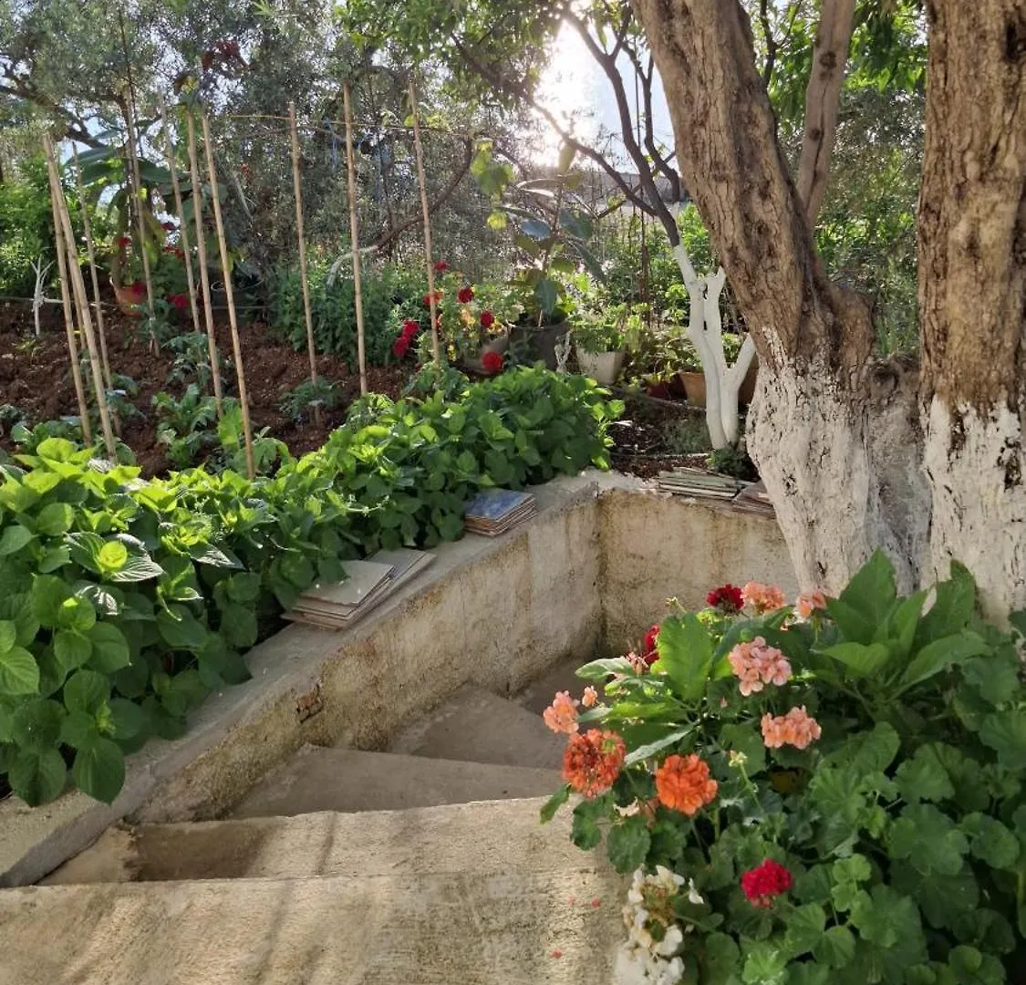Casa Hitaj Villa Vlore Holiday home